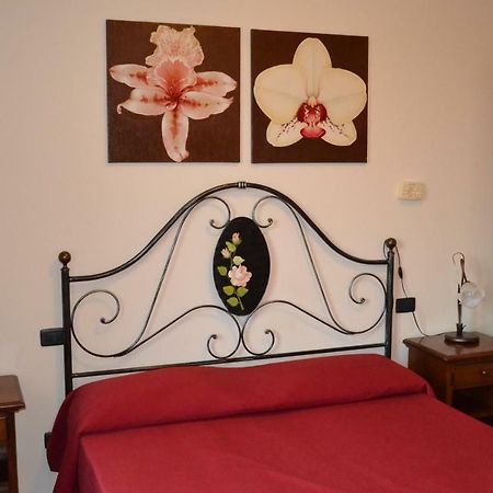 B&B La Ca Vecia 索拉纳 外观 照片